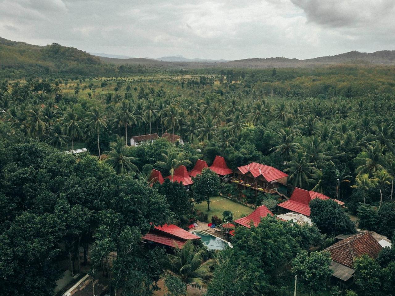 Mojosurf Camp Red Island 호텔 Pasanggaran 외부 사진